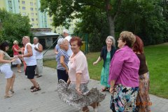 piknik_22