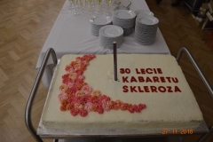 skleroza_16