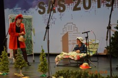 sas_2019_014