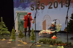 sas_2019_015