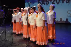 sas_2019_021