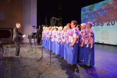 sas_2019_032