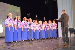 sas_2019_036