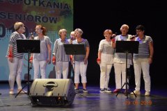 sas_2019_039