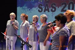 sas_2019_040