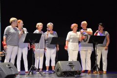 sas_2019_041