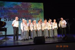 sas_2019_049