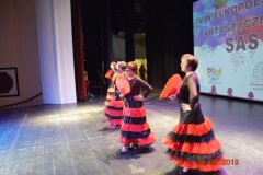 sas_2019_054