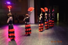 sas_2019_055