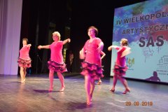 sas_2019_061