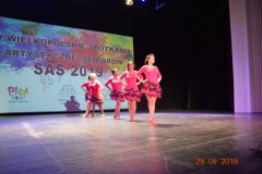 sas_2019_063