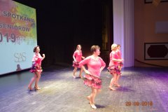 sas_2019_064