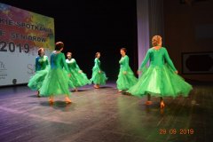 sas_2019_065