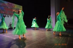sas_2019_066