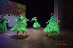 sas_2019_068