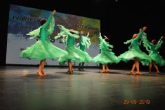 sas_2019_074