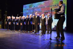 sas_2019_115