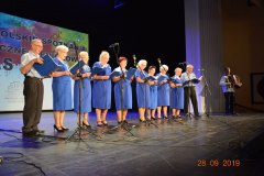 sas_2019_169