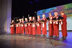 sas_2019_176