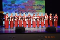 sas_2019_178