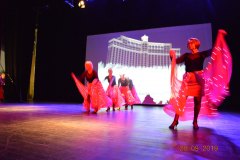 sas_2019_181