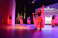 sas_2019_182