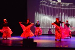 sas_2019_183