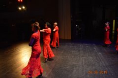 sas_2019_184