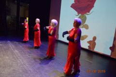 sas_2019_185