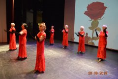 sas_2019_186
