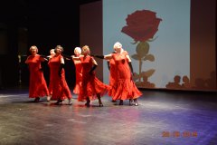 sas_2019_187