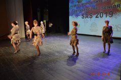 sas_2019_194