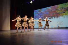 sas_2019_195