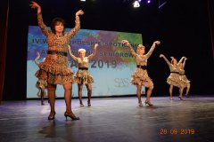 sas_2019_196