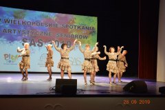 sas_2019_197