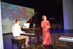 sas_2019_201