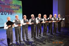 sas_2019_207