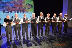 sas_2019_208