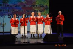 sas_2019_217